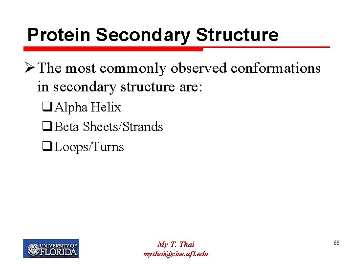 Protein Secondary Structure Ø The most commonly observed conformations in secondary structure are: q.