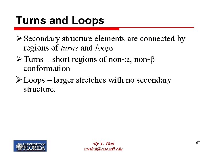 Turns and Loops Ø Secondary structure elements are connected by regions of turns and