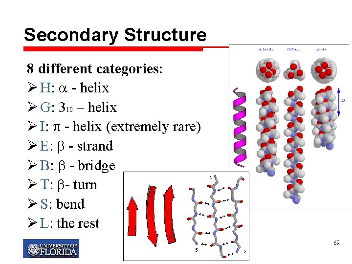 Secondary Structure 8 different categories: Ø H: - helix Ø G: 310 – helix
