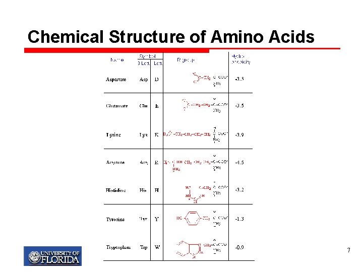 Chemical Structure of Amino Acids 7 