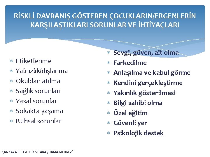 RİSKLİ DAVRANIŞ GÖSTEREN ÇOCUKLARIN/ERGENLERİN KARŞILAŞTIKLARI SORUNLAR VE İHTİYAÇLARI Etiketlenme Yalnızlık/dışlanma Okuldan atılma Sağlık sorunları