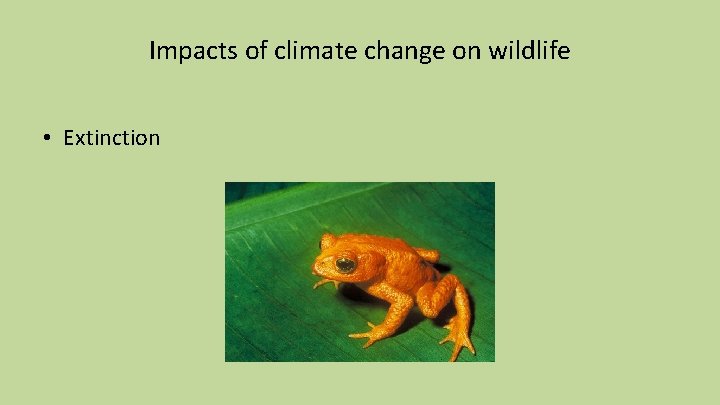 Impacts of climate change on wildlife • Extinction 