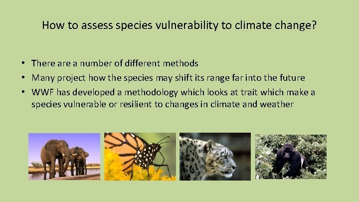 How to assess species vulnerability to climate change? • There a number of different