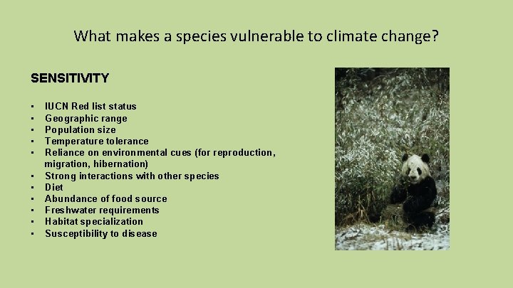 What makes a species vulnerable to climate change? SENSITIVITY • • • IUCN Red
