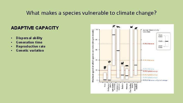 What makes a species vulnerable to climate change? ADAPTIVE CAPACITY • • Dispersal ability