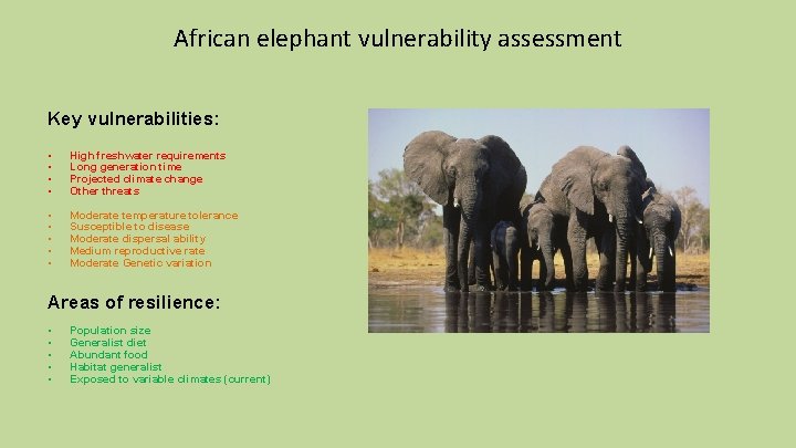 African elephant vulnerability assessment Key vulnerabilities: • • High freshwater requirements Long generation time