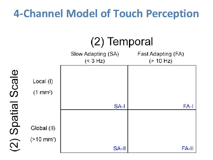 4 -Channel Model of Touch Perception 
