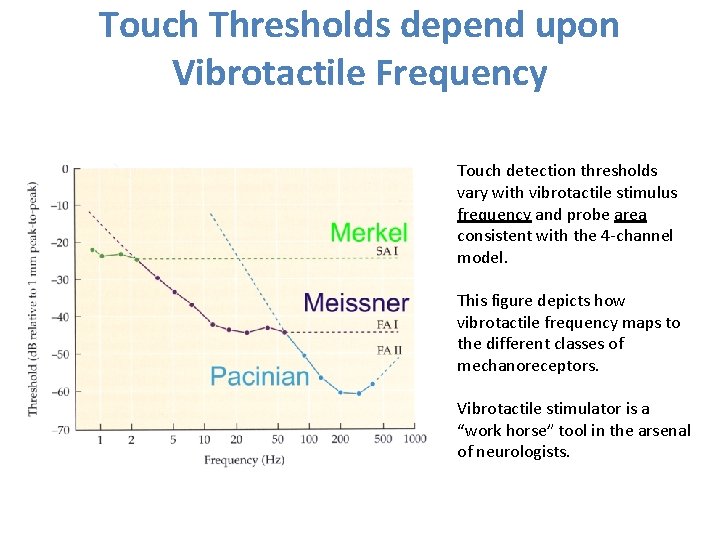 Touch Thresholds depend upon Vibrotactile Frequency Touch detection thresholds vary with vibrotactile stimulus frequency