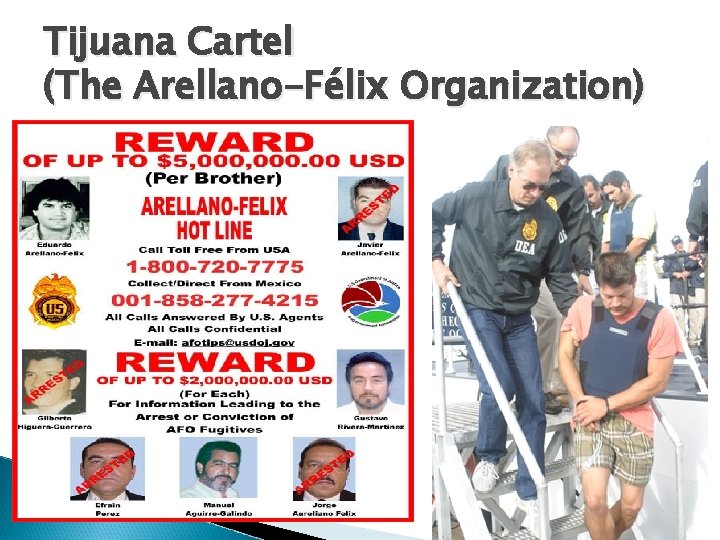 Tijuana Cartel (The Arellano-Félix Organization) 