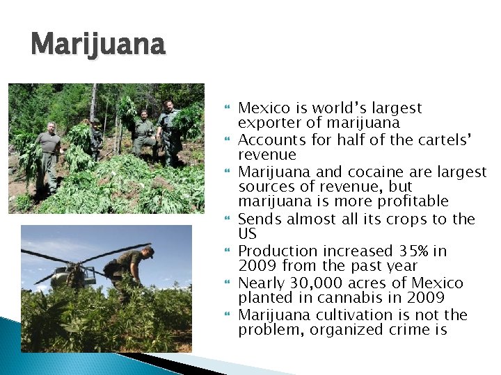 Marijuana Mexico is world’s largest exporter of marijuana Accounts for half of the cartels’ Marijuana Mexico is world’s largest exporter of marijuana Accounts for half of the cartels’