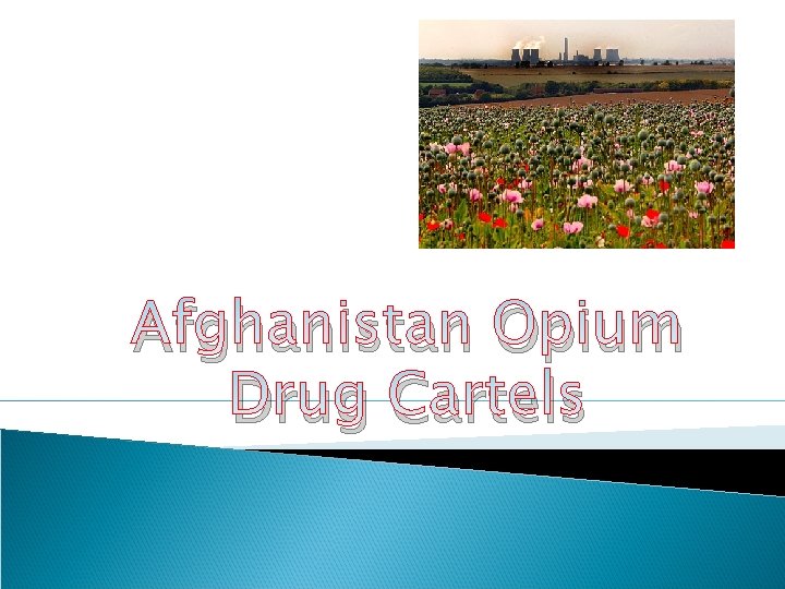 Afghanistan Opium Drug Cartels 