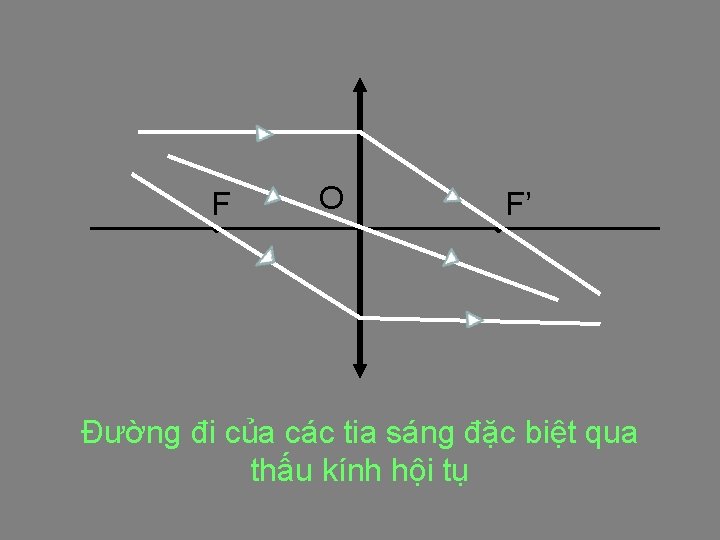 F O F’ Đường đi của các tia sáng đặc biệt qua thấu kính