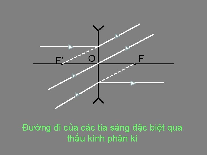 F’ O F Đường đi của các tia sáng đặc biệt qua thấu kính