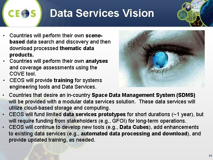 Data Services Vision • Countries will perform their own scenebased data search and discovery