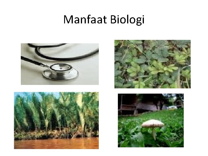 Manfaat Biologi 