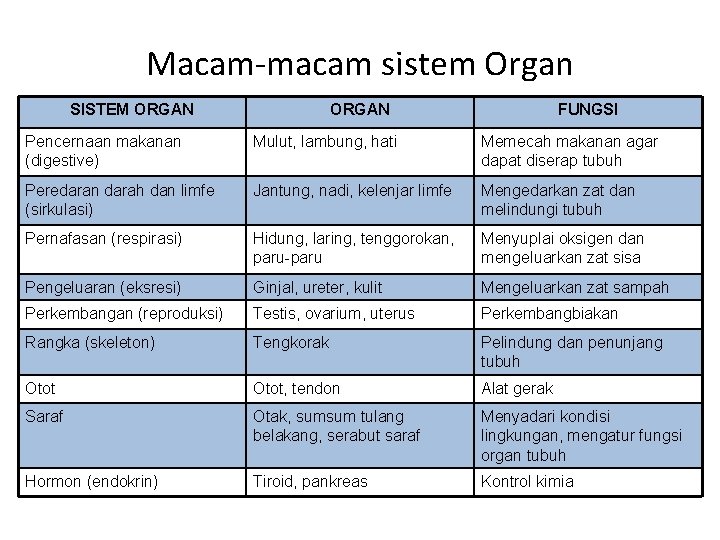 Macam-macam sistem Organ SISTEM ORGAN FUNGSI Pencernaan makanan (digestive) Mulut, lambung, hati Memecah makanan