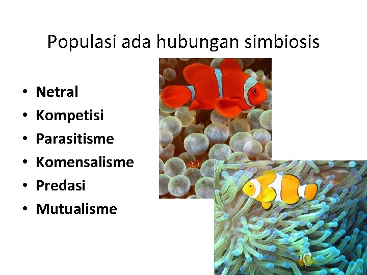 Populasi ada hubungan simbiosis • • • Netral Kompetisi Parasitisme Komensalisme Predasi Mutualisme 