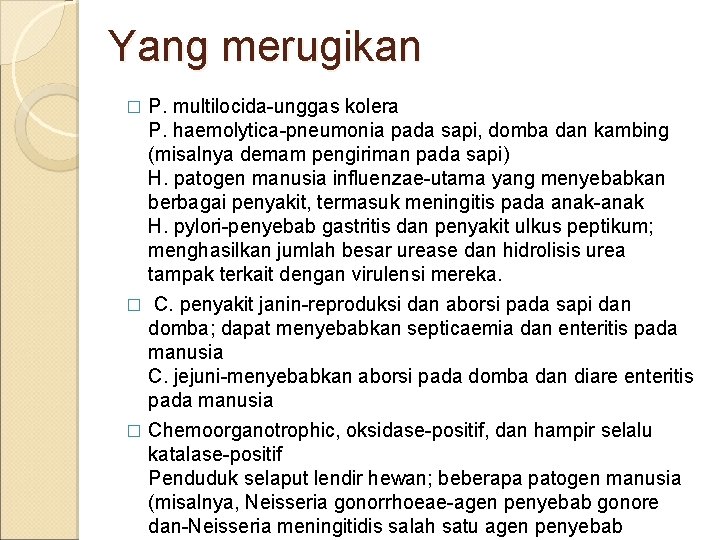 Yang merugikan P. multilocida-unggas kolera P. haemolytica-pneumonia pada sapi, domba dan kambing (misalnya demam