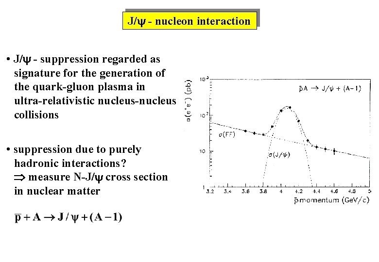 J/ - nucleon interaction • J/ - suppression regarded as signature for the generation