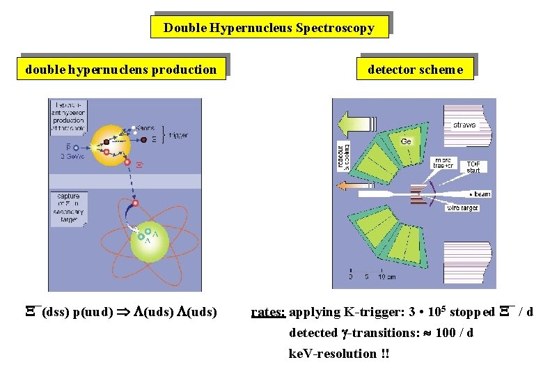 Double Hypernucleus Spectroscopy double hypernuclens production ¯(dss) p(uud) (uds) detector scheme rates: applying K-trigger: