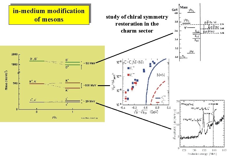 in-medium modification of mesons study of chiral symmetry restoration in the charm sector 