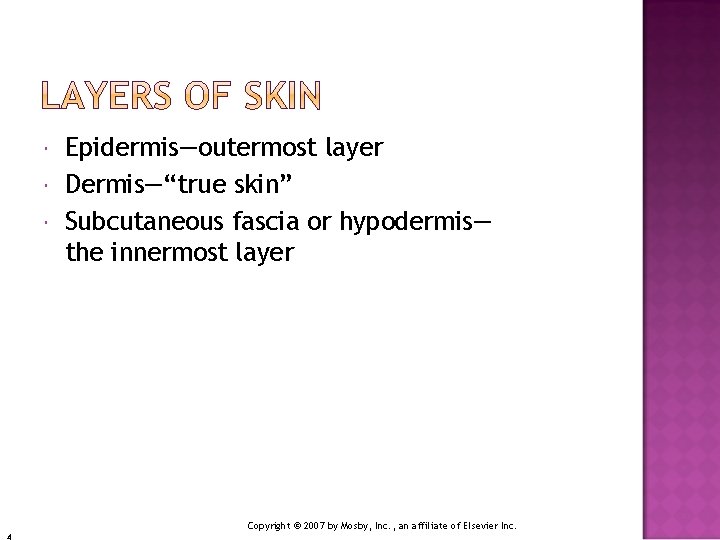  Epidermis—outermost layer Dermis—“true skin” Subcutaneous fascia or hypodermis— the innermost layer Copyright ©