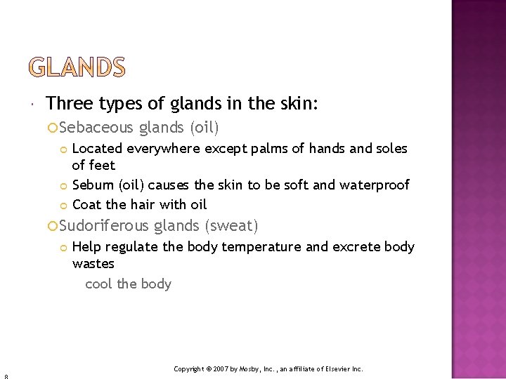  Three types of glands in the skin: Sebaceous glands (oil) Located everywhere except