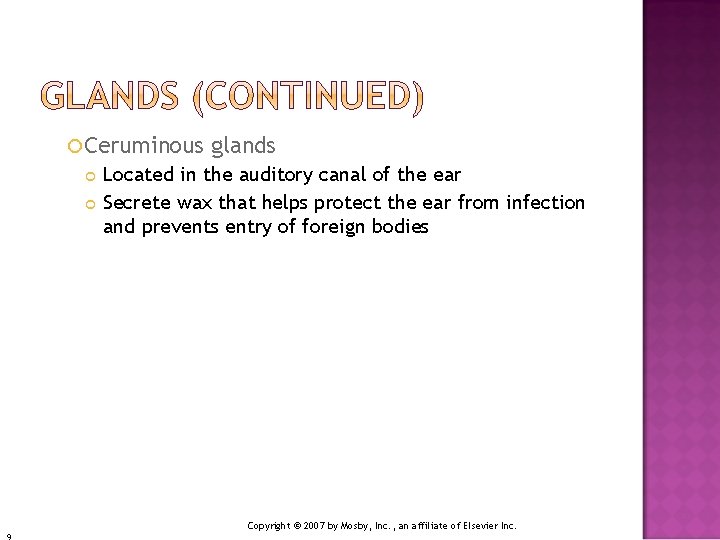  Ceruminous glands Located in the auditory canal of the ear Secrete wax that