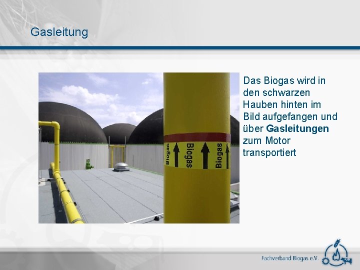 Gasleitung Das Biogas wird in den schwarzen Hauben hinten im Bild aufgefangen und über