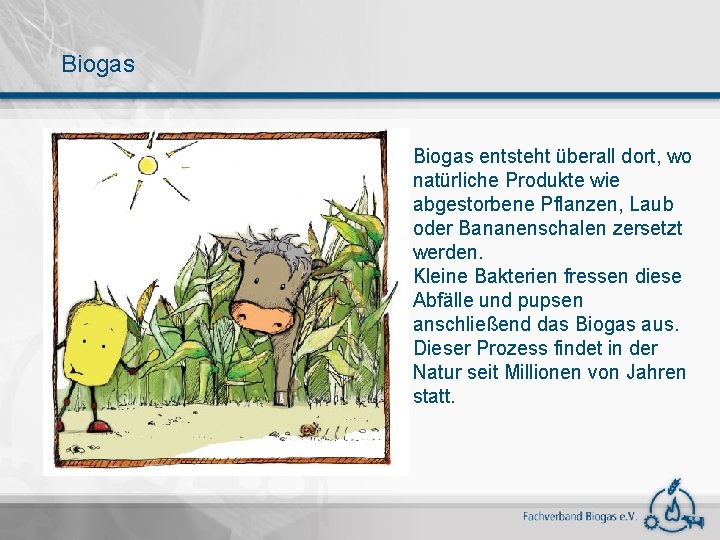 Biogas entsteht überall dort, wo natürliche Produkte wie abgestorbene Pflanzen, Laub oder Bananenschalen zersetzt