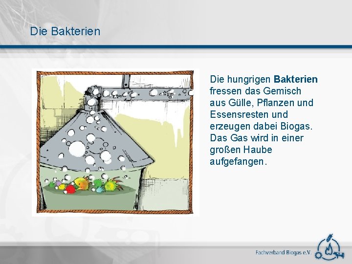 Die Bakterien Die hungrigen Bakterien fressen das Gemisch aus Gülle, Pflanzen und Essensresten und