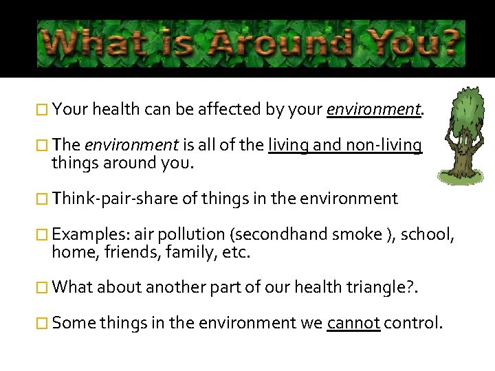 � Your health can be affected by your environment. � The environment is all