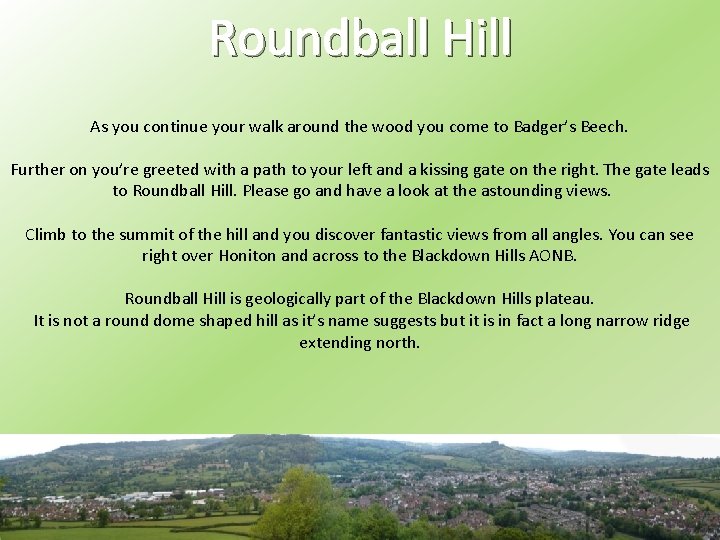 Roundball Hill As you continue your walk around the wood you come to Badger’s