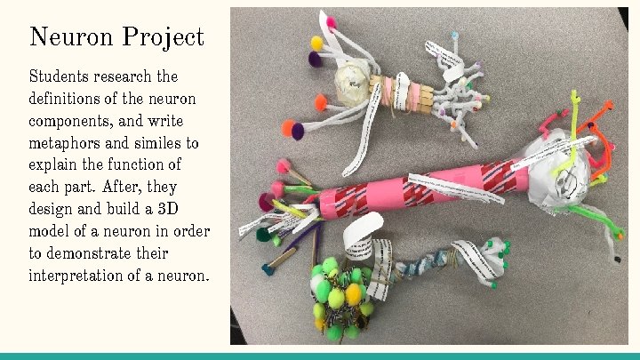 Neuron Project Students research the definitions of the neuron components, and write metaphors and