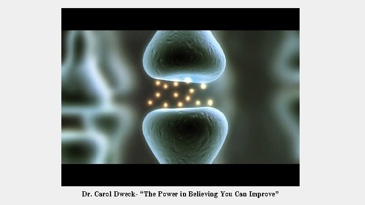 Dr. Carol Dweck- “The Power in Believing You Can Improve” 