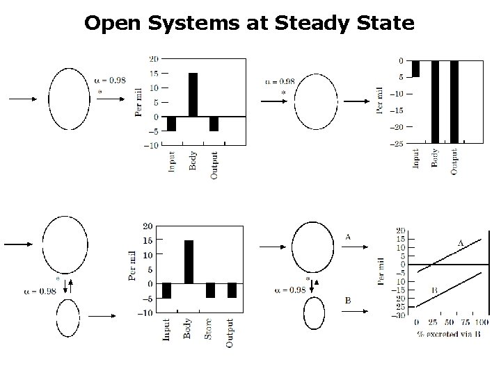 Open Systems at Steady State 