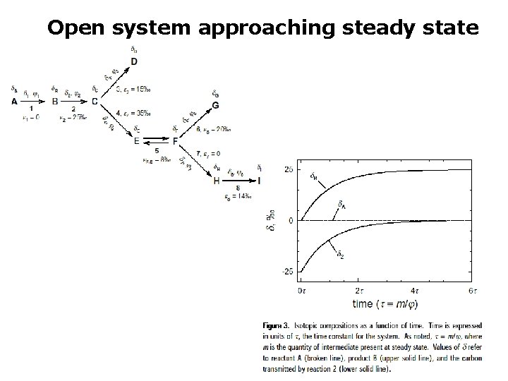 Open system approaching steady state 