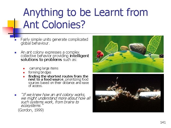 Anything to be Learnt from Ant Colonies? n n Fairly simple units generate complicated