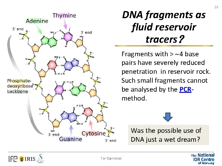 DNA fragments as fluid reservoir tracers Fragments with > 4 base pairs have severely