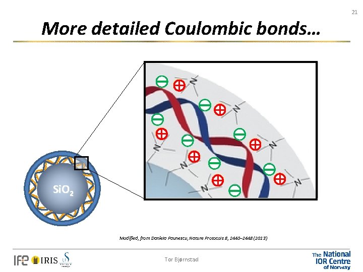 21 More detailed Coulombic bonds… Si. O 2 Modified, from Daniela Paunescu, Nature Protocols