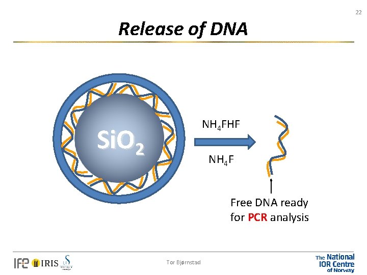 22 Release of DNA NH 4 FHF Si. O 2 NH 4 F Free