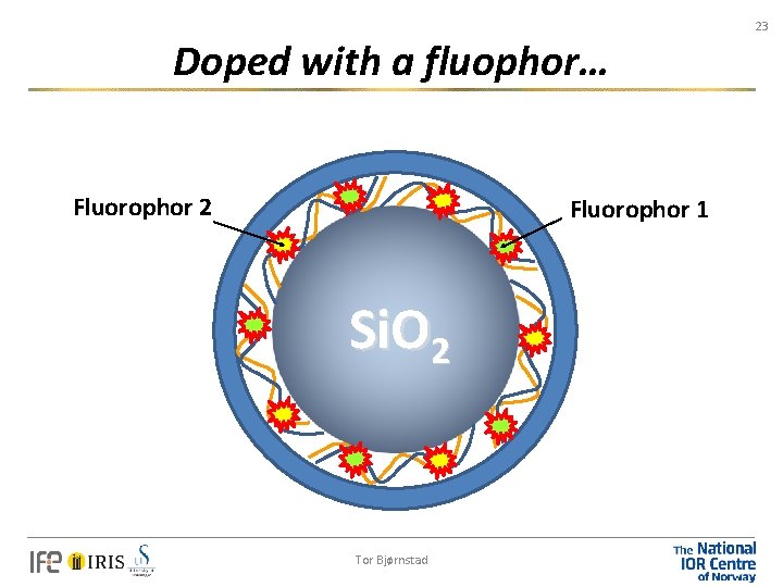 23 Doped with a fluophor… Fluorophor 2 Fluorophor 1 Si. O 2 Tor Bjørnstad