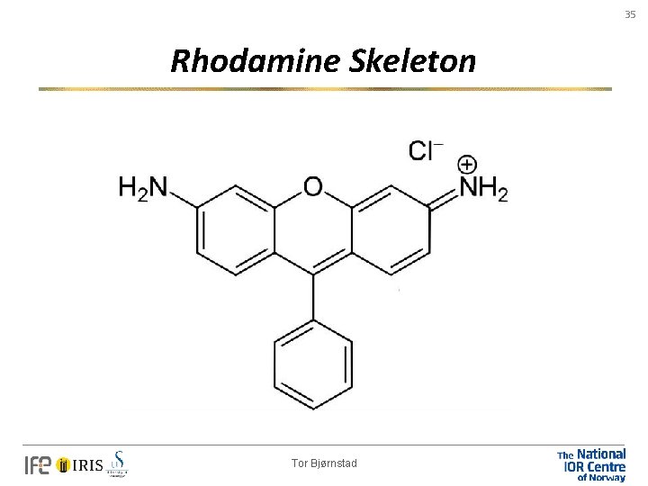 35 Rhodamine Skeleton Tor Bjørnstad 