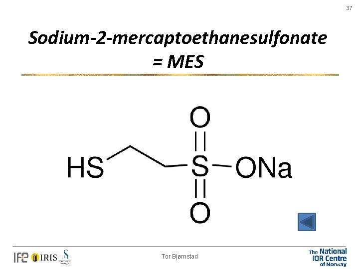 37 Sodium-2 -mercaptoethanesulfonate = MES Tor Bjørnstad 