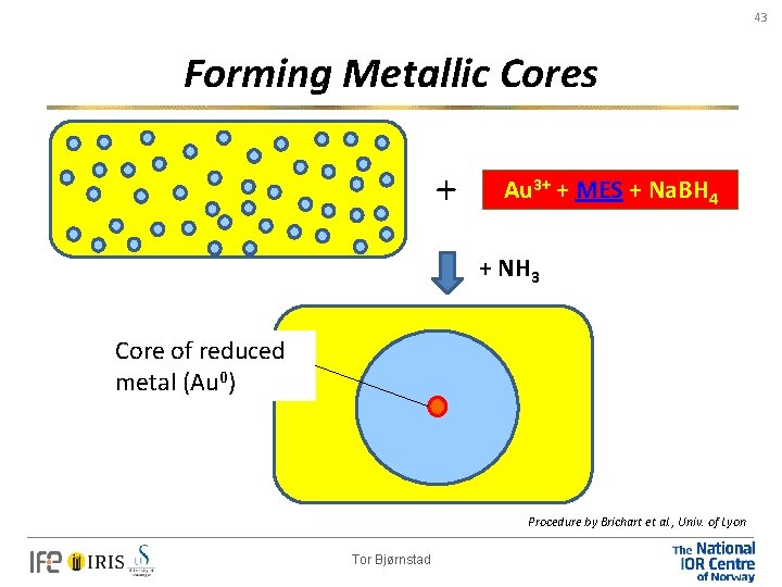 43 Forming Metallic Cores + Au 3+ + MES + Na. BH 4 +