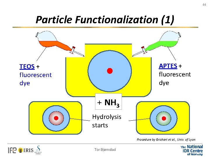 44 Particle Functionalization (1) APTES + fluorescent dye TEOS + fluorescent dye + NH