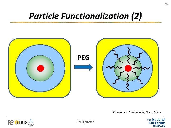 45 ) Particle Functionalization (2) ( ) ( PEG ) ( ) ( (