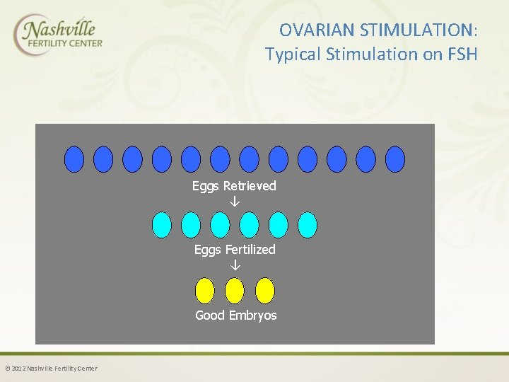 OVARIAN STIMULATION: Typical Stimulation on FSH Eggs Retrieved ↓ Eggs Fertilized ↓ Good Embryos