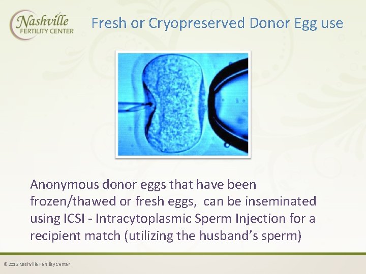 Fresh or Cryopreserved Donor Egg use Anonymous donor eggs that have been frozen/thawed or