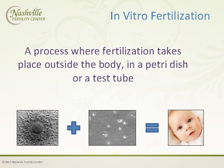 In Vitro Fertilization A process where fertilization takes place outside the body, in a